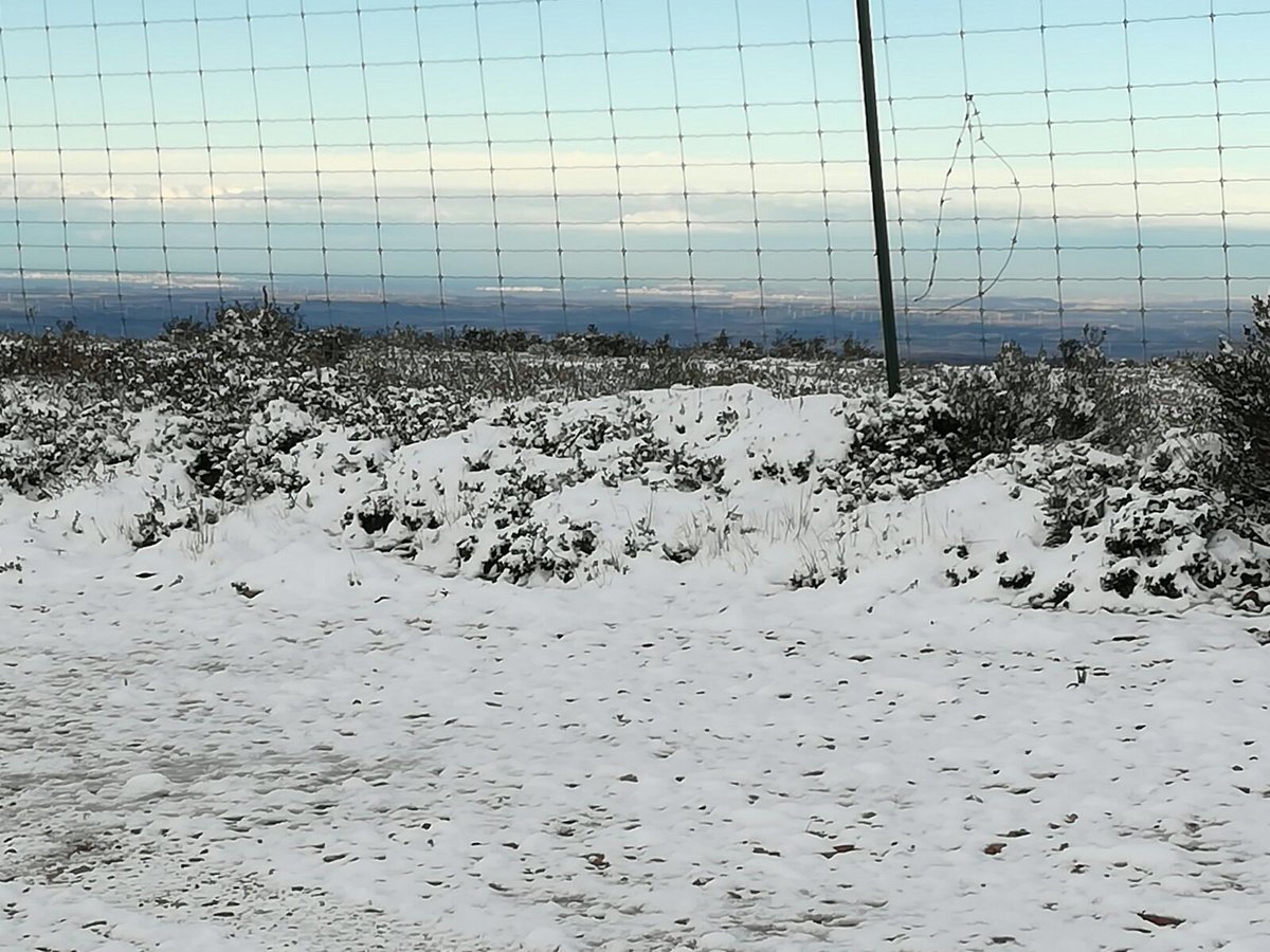 Alcalá de Los Gazules, sierra de Cádiz. . .