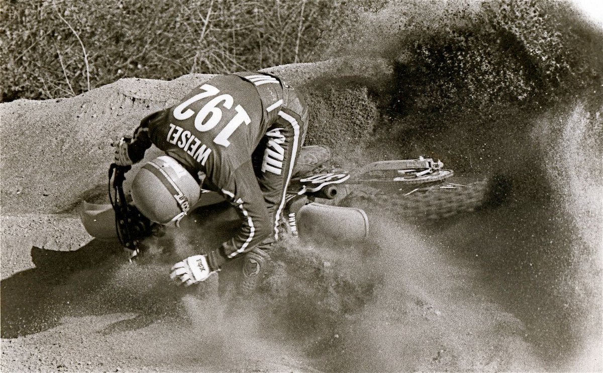 Factory Pink tweet media