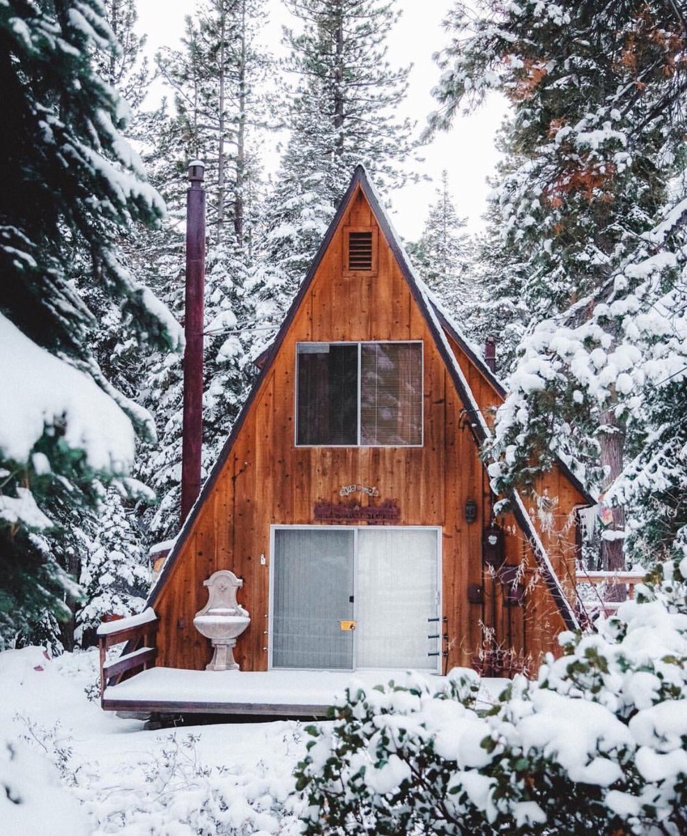 un invierno aquí sin preocupaciones 😍 https://t.co/MRzIqCNCbm