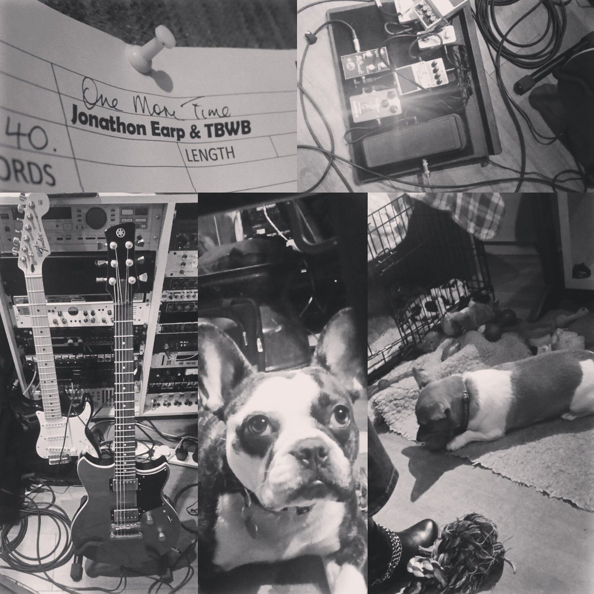 bigwolfband's tweet photo. Day 9 done! Vocals complete, one more lead track to finish. Hammond, 1 bass track and backing vocals and we are done!
#nearly #bigwolfband https://t.co/LtSCbITN5D