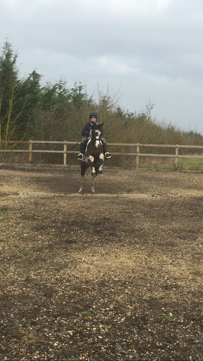 GGeventing's tweet photo. Immi pinging the ditch out schooling today! https://t.co/kJKpG8Uxae