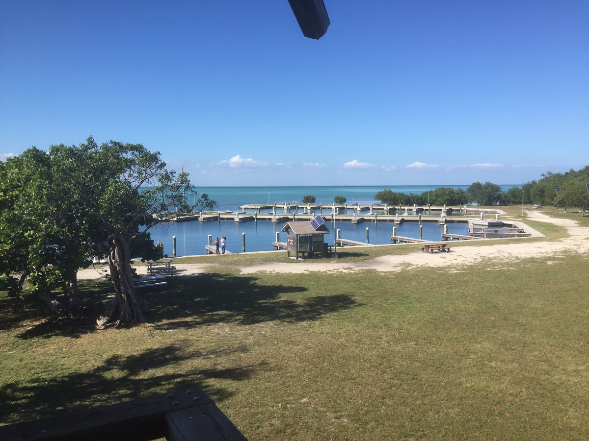 Ana Casanova tweet media