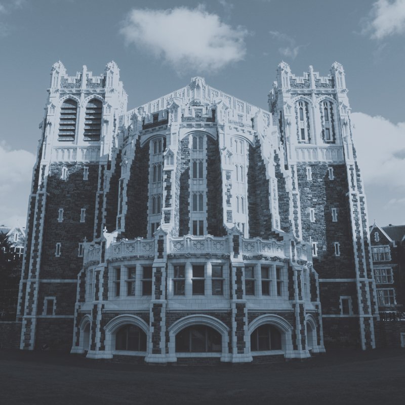 AAUPCBC's tweet photo. Read Marcella Bencivenni's powerful critique of #CUNY &amp; the erosion of #publichighereducation in #Academe https://t.co/CyGYeyfzSY #PSCers https://t.co/MXzO4IIe0s