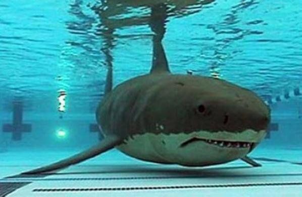 My completely irrational childhood fear: