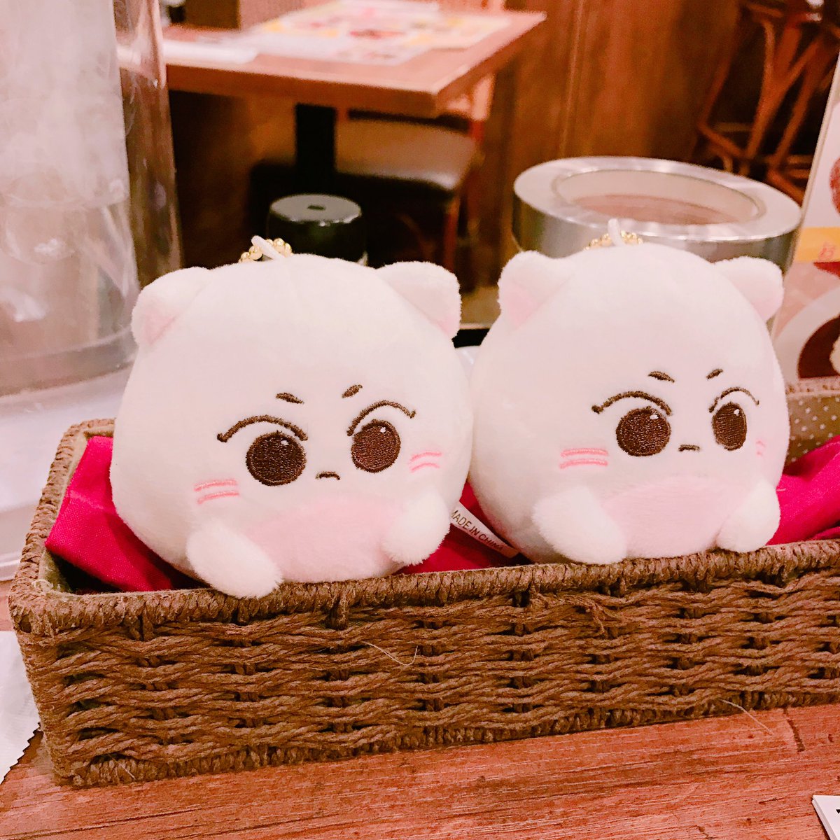 youngza_'s tweet photo. 불찬이와 캣슈 쌍디는 카레도 먹었답니다 *ㅇAㅇ* https://t.co/9ktzxGb55S
