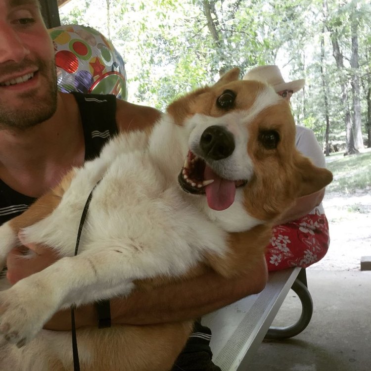 roverdotcom_fr's tweet photo. Pourquoi faire garder votre chien en vos absences ? Voici les 10 raisons : https://t.co/r8cdBg4Gmn #dogbuddy #dogsitter #vacances #doglover https://t.co/4A7Jalxzbx