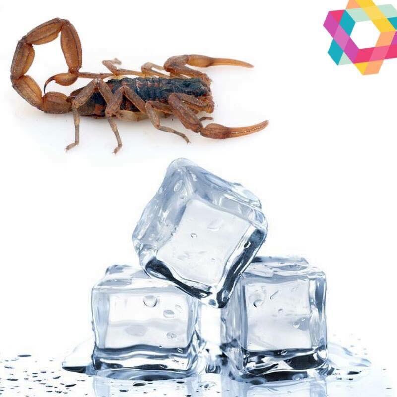 accidentesBA's tweet photo. "APLICAR HIELO" ante una picadura de alacrán para retrasar la circulación de sangre. Ayudanos a difundir!!! https://t.co/7MWiK8jCvH