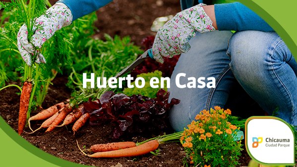 Chicauma_'s tweet photo. Tener un huerto en casa, te conecta con la naturaleza, además de tener ricas verduras y frutas a la mano. https://t.co/ZqVpKBkWji