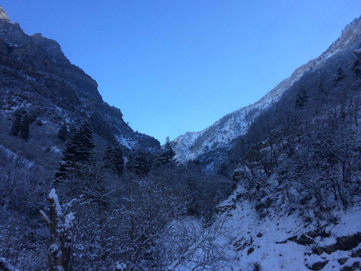 KailiLough's tweet photo. january blues https://t.co/uVeiknFgqR