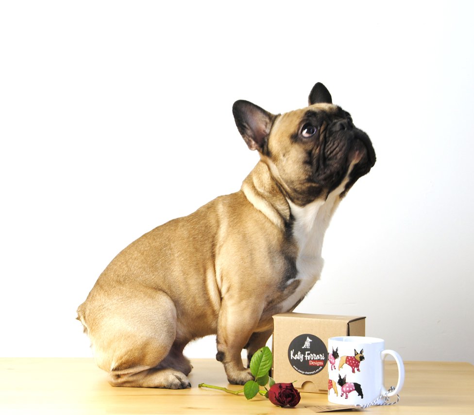 But how can you possibly expect me to put my bottom down on the ground when you haven't pu… ift.tt/2jCtMwK