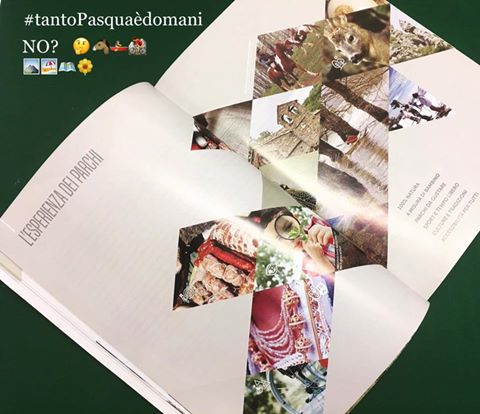 ABComsrl's tweet photo. Mercoledì giro di boa e come se non bastasse mettendo in ordine il reparto creativo ci è saltata in mano la brochure di Calabria Parchi! https://t.co/BkFODYqv9d