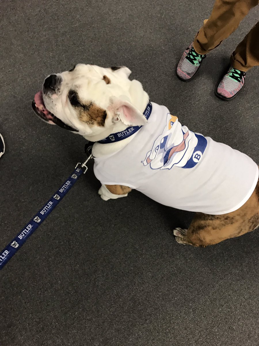 Butler Blue III tweet media