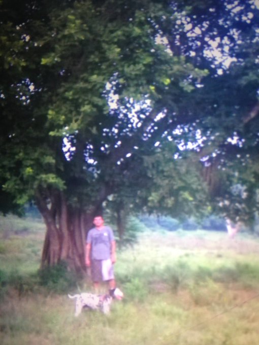 Un Gran Hombre es Grande como un Arbol. La Firmeza se ve por su apariencia y su experiencia forma su