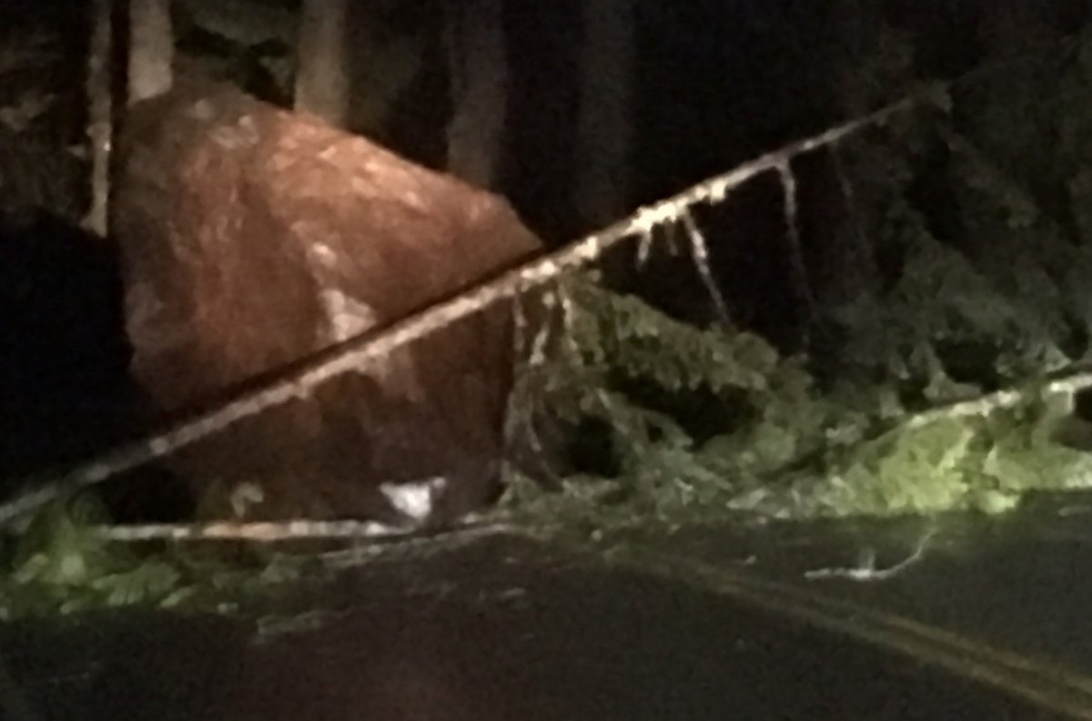 large boulder and fallen trees blocking both travel lanes