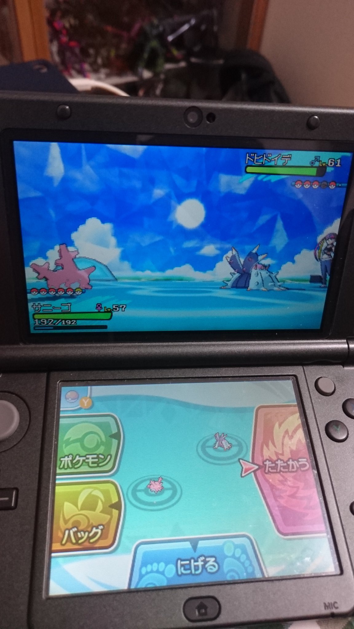 ススリカ ポケモンサンムーン 選手交代行け サニーゴw ポケモンサンムーン ヒドサニ T Co Kx9p4tvg05 Twitter
