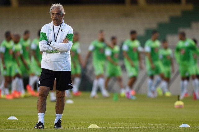 Walouu91's tweet photo. Le vrai !! Le seul qui nous a fais avancer vibrer !! #ALGTUN #CAN2017 https://t.co/Kj3CSjaWOv
