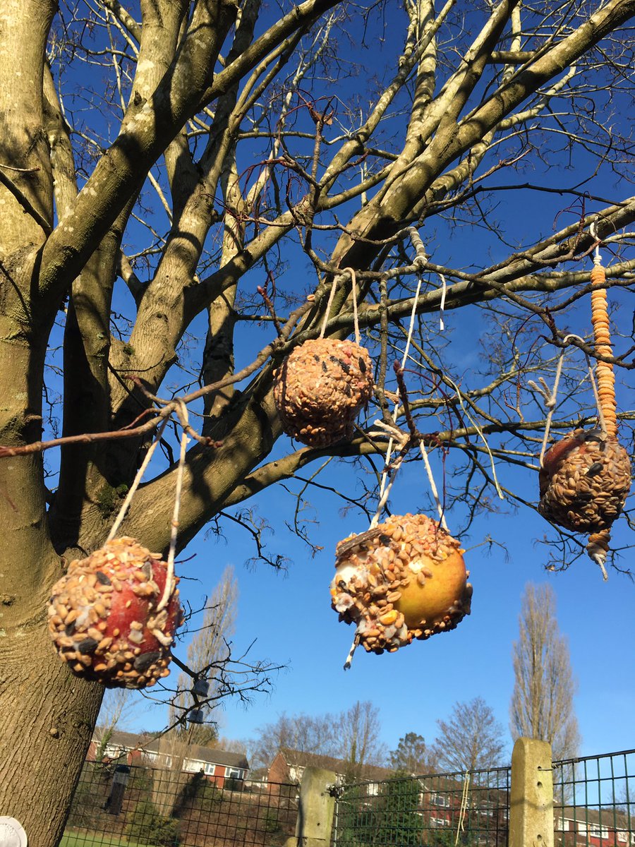 HaleNursery's tweet image. Excited and learning.Looking after our wildlife. #RSPB_learning #earlyyears #outdoorlearning #BigSchoolsBirdwatch #surrey