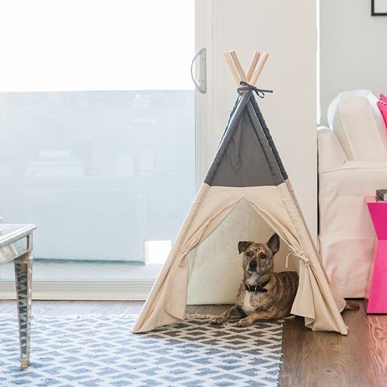 vetzyme conditioning tablets