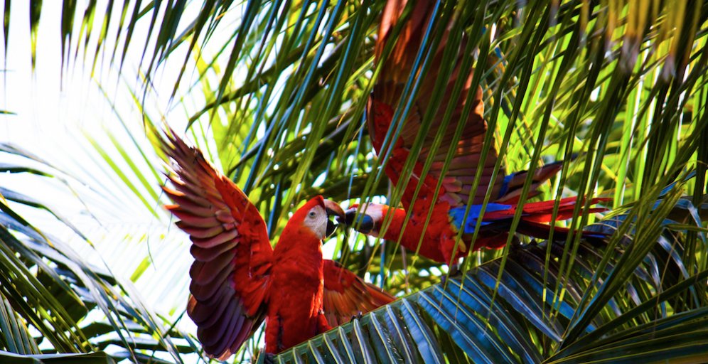 UndercoverRec's tweet photo. NEW: 12 Animals That Would Totally Make Great Recruiters (by @feebspinks) https://t.co/MJUPCCLxUG #NewUR https://t.co/NDjzN31wt7