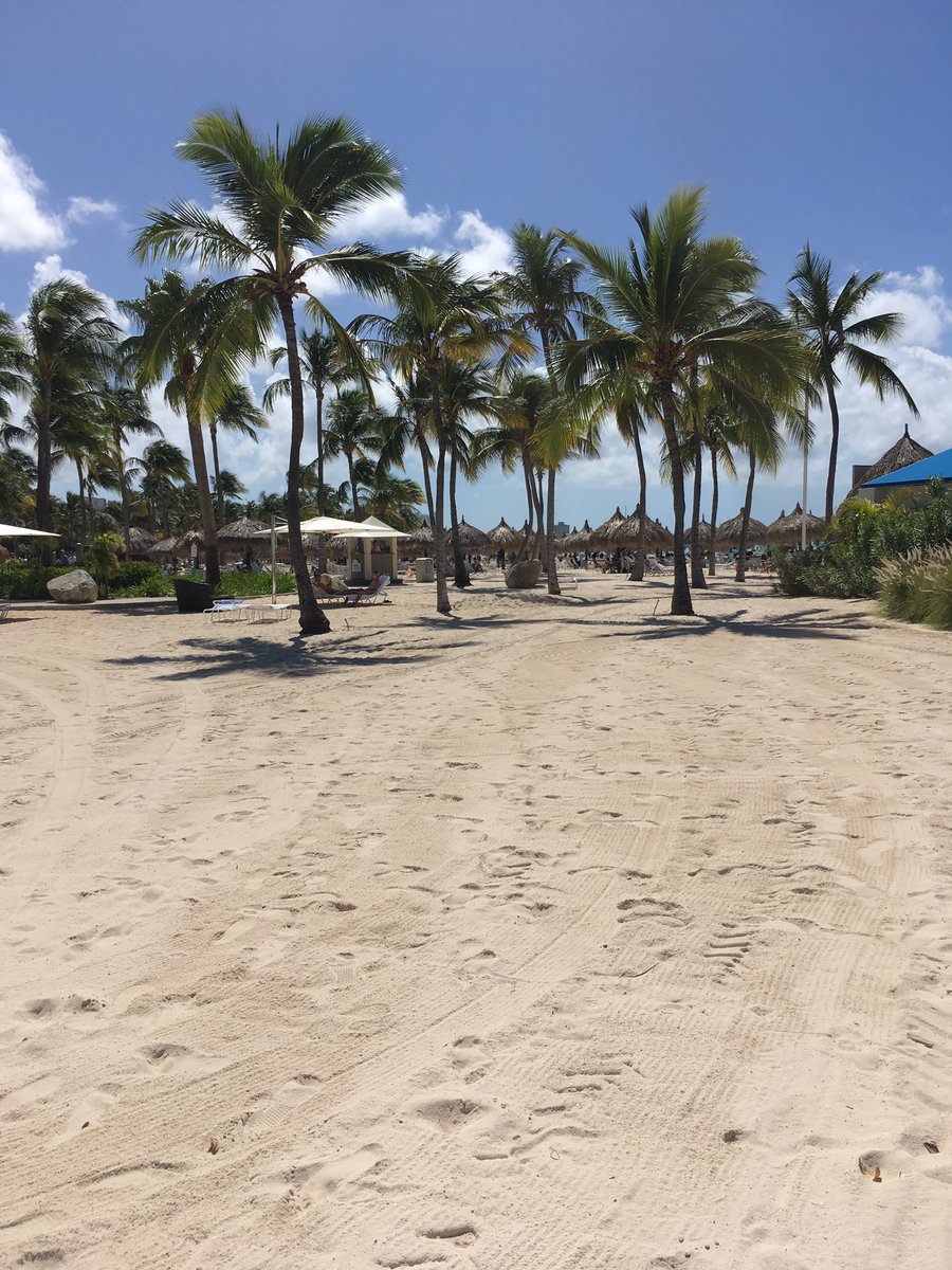 LabordeEmily's tweet image. Enamorada eternamente de este lugar 🌴💖