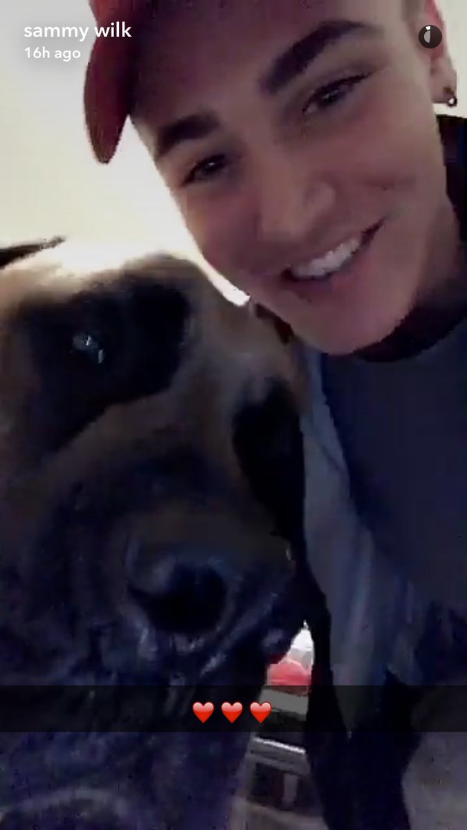 tbhmash's tweet photo. literally the beast from the sandlot @sammywilk https://t.co/g2yKT0brxm