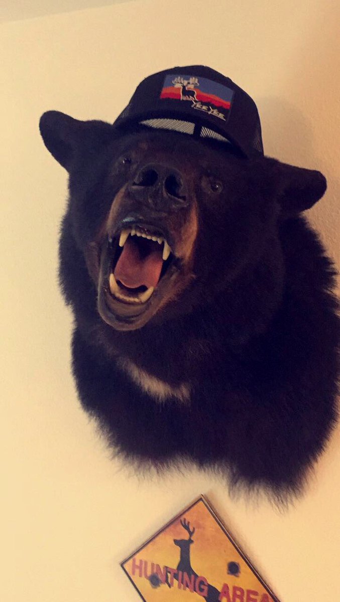 A_Adams03's tweet photo. @GrangerSmith @EarlDibblesJr new hat in just in time for tomorrow! Someone is already enjoying it. #YeeYee #Merica https://t.co/ZOjfvw48YX