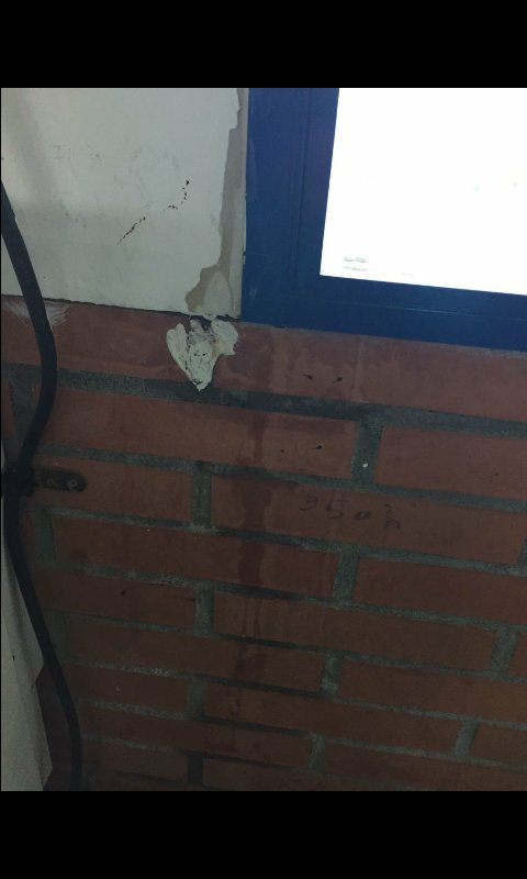 pimala67's tweet photo. @Educarm Las clases del Instituto  La Manga del Mar Menor no están en buenas condiciones para estos temporales https://t.co/gd0qt7uWdp