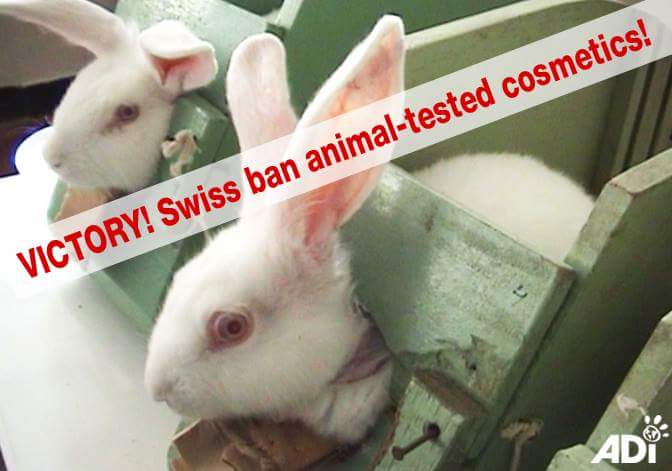 Swiss government bans sale of cosmetics containing ingredients tested on animals.

Help stop lab animal suffering: ad-international.org/animal_experim…