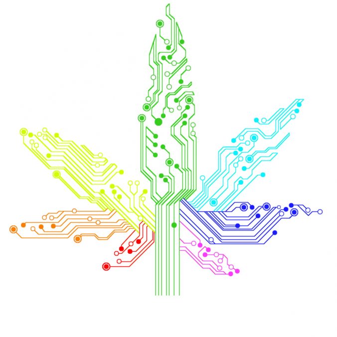 Developers Needed: Cannabis Software Company <a href="/mjfreeway/">MJ Freeway</a> Goes Down, Leaving Dispensaries in the Dark cannabisreports.com/news/2017/01/1…