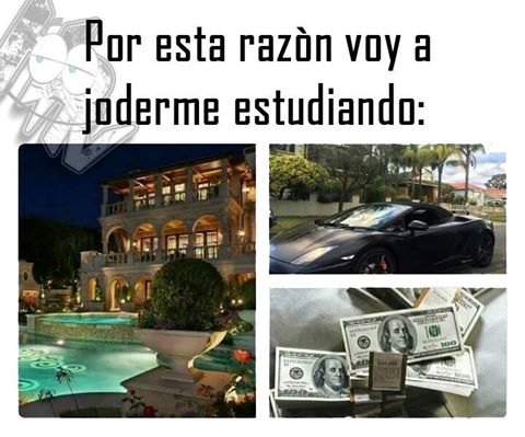 highprotops's tweet image. Por esta razon voy a joderme estudiando:
#FolloForFolloBack