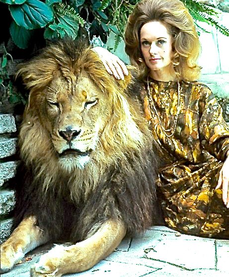 Happy 87th Birthday to Tippi Hedren - in the 70s, she owned a pet lion named Neil ...that\s kinda gangsta! 