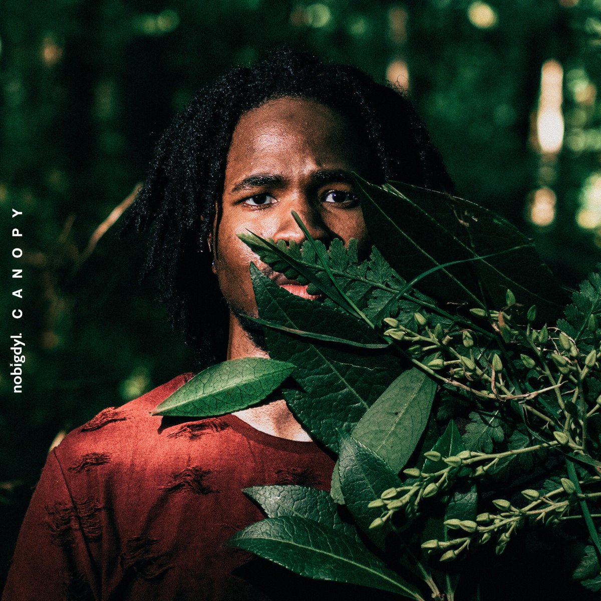 nobigdyl's tweet photo. Canopy pre-order drops tomorrow. quote this tweet with a 🌲 if you're purchasing! https://t.co/Xuj6lY1ICm