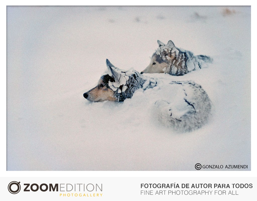 zoom_edition's tweet photo. No os quedeis helados con nuestros descuentos!! #diamundialdelanieve #zoomedition #photo #snow https://t.co/yTIgBUJPyz