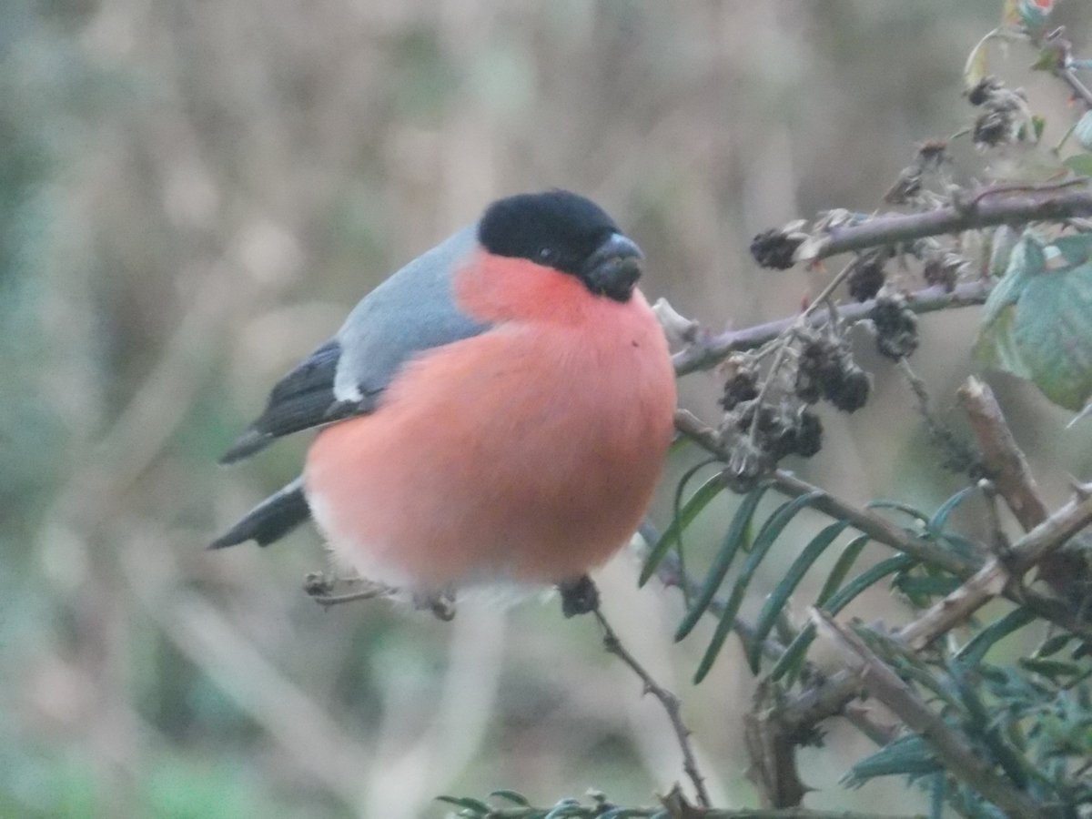 publicfishingfrance tweet media