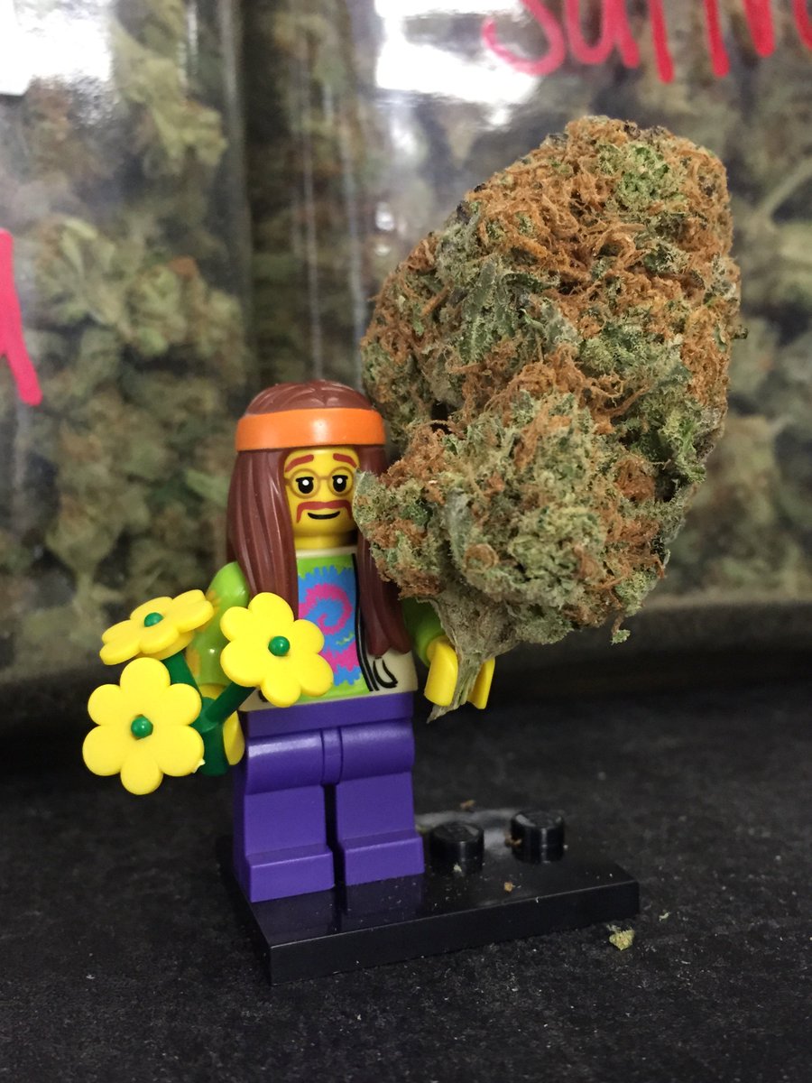 TerrapinCare's tweet photo. Be more like this #lego person and buy only quality #cannabis at the lowest prices, right here at Terrapin! #Time4Terrapin https://t.co/QJdWAuvDOF