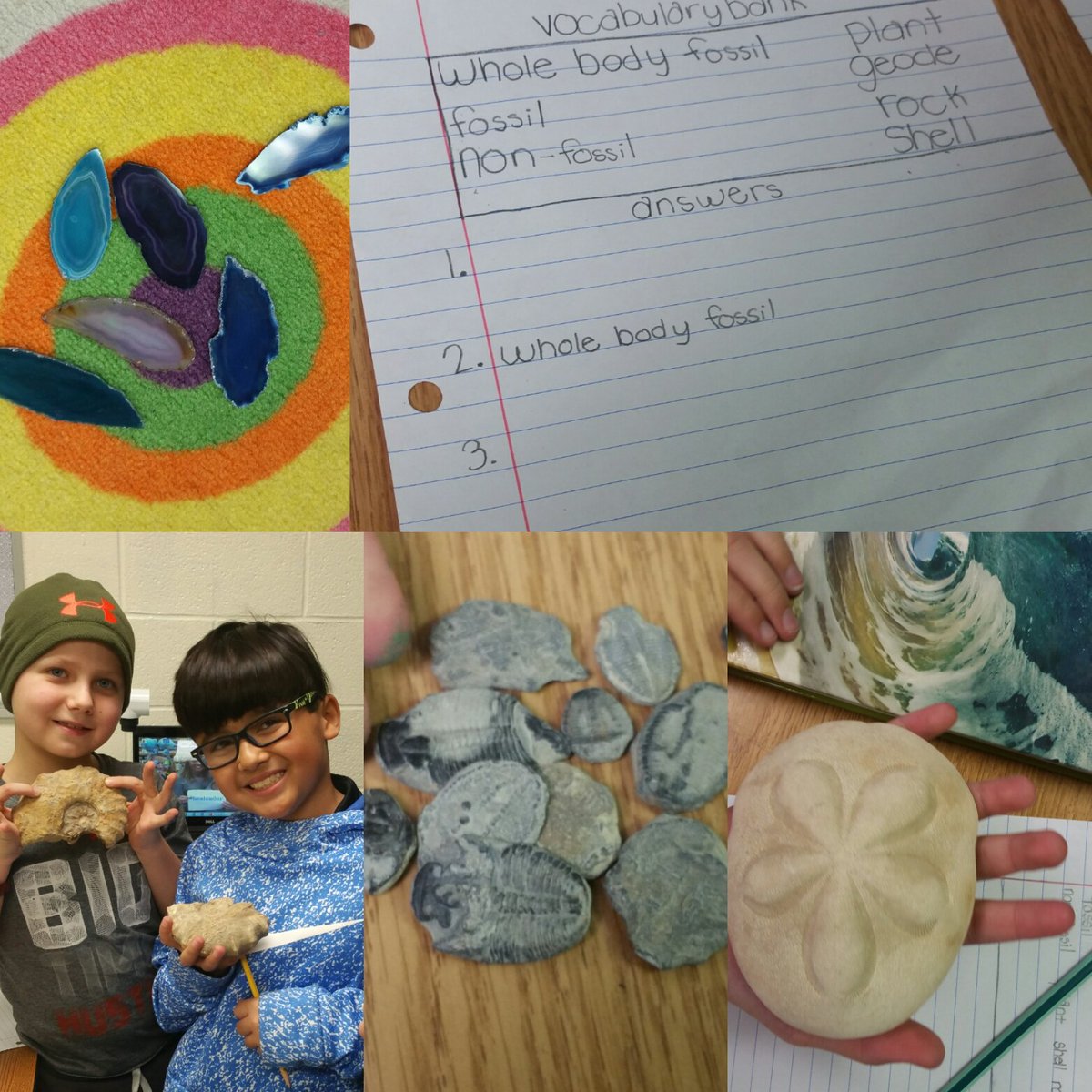 educationLane1's tweet image. We are analyzing and classifying rocks, shells, and fossils today in 4th grade. #fossilwalk
