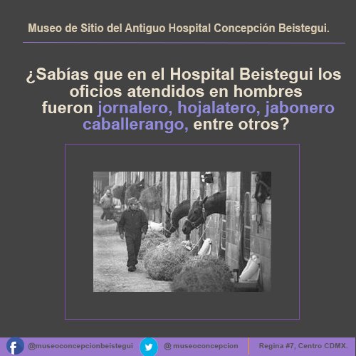 Museo Concepcion B. tweet media