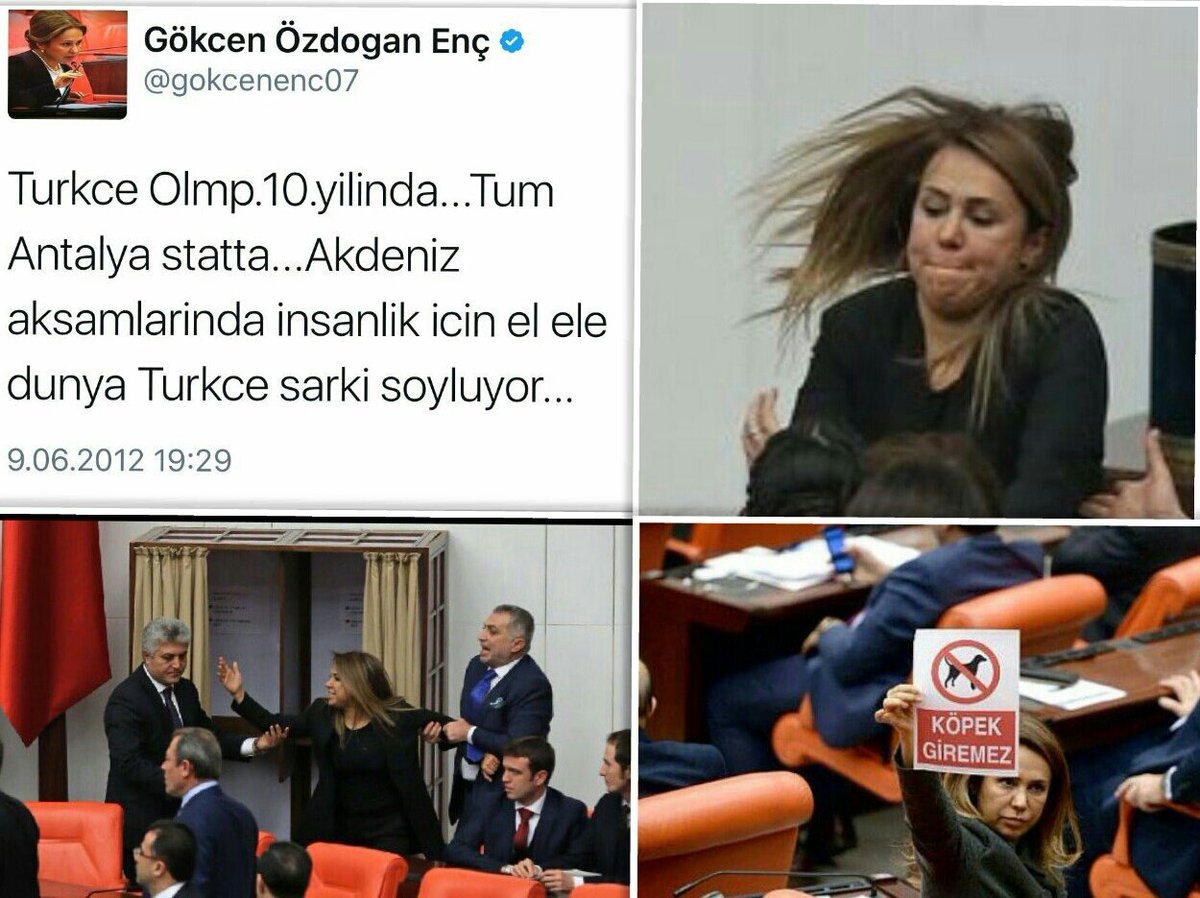 Halitisci's tweet photo. #Fetö üyeliğinden hapiste olması gerekirken Dikta anayasası geçsin diye dokunulmayan #AKP li  @gokcenenc07 budur.
@mrtslm40 @AylinNazliaka 👇 https://t.co/ziMgfC115p