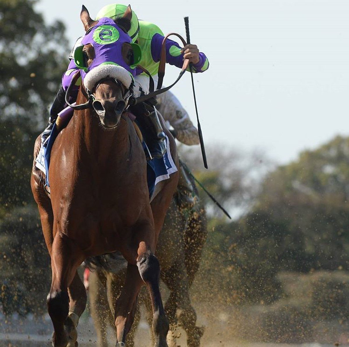 Magic Keep Racing Magic Cap Stables (@MagicCapStables) | Twitter