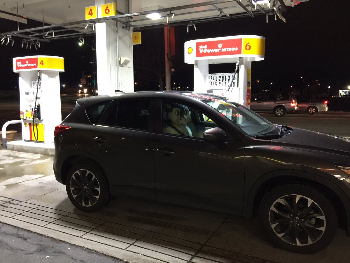 Erin_Kitsune's tweet photo. Filling up my tank before #ANE2016 :3 https://t.co/pGYJ0XzUNk