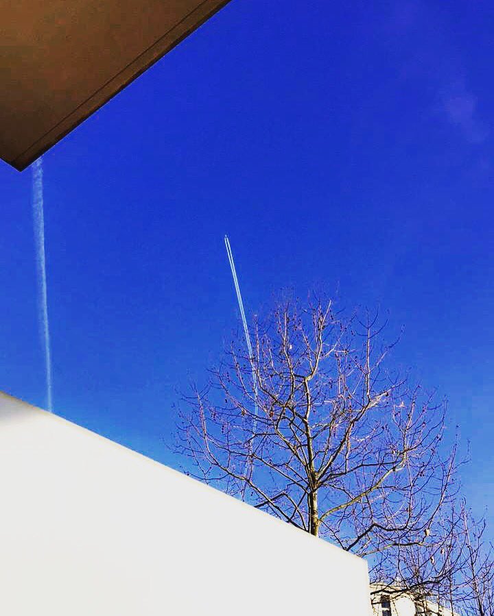 TWEETSFROMi's tweet photo. Blue skies in January. https://t.co/s0cGx6NrFY