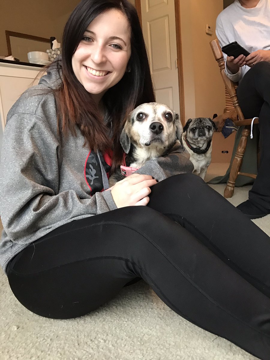 StephaNEIGH's tweet photo. When you try to take a cute pic with your dog &amp; then the other ones get jealous and photobomb you 🙄 https://t.co/50Df0aMGd0