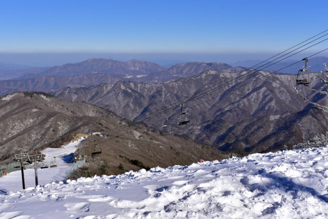 대한민국 산림청 tweet media