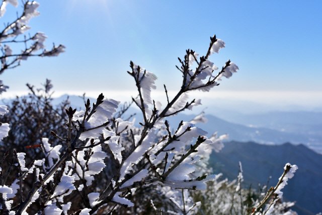 대한민국 산림청 tweet media