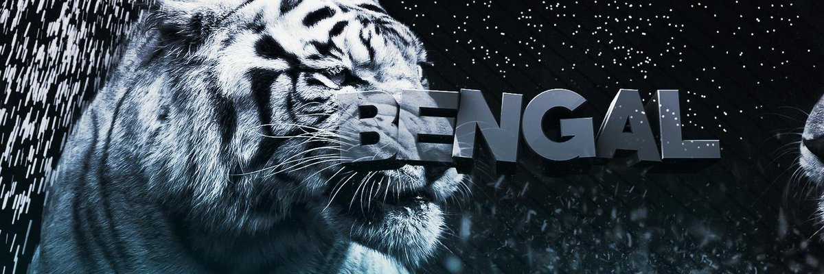 bengal1t's tweet photo. S / O To @SiphonDesigns for these MAD headers! And thanks Siphon xx https://t.co/95rpaROSwA
