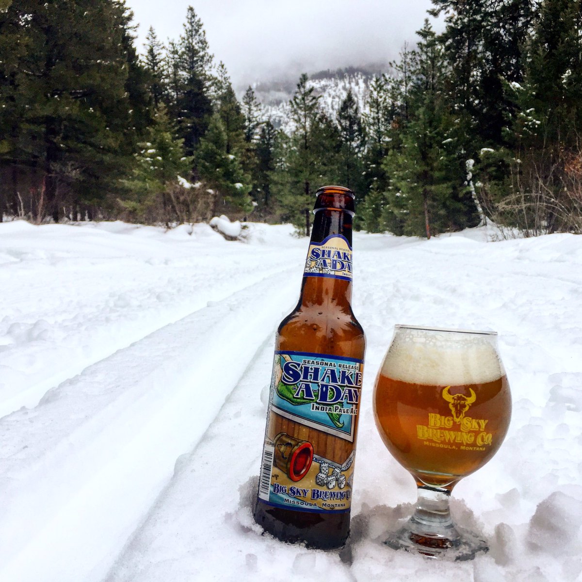 BigSkyBrewing's tweet photo. #shakeaday #ipa is back on the trails! https://t.co/IGLPUW5ELx