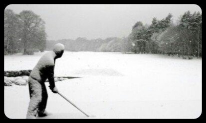 Charleville GC tweet media