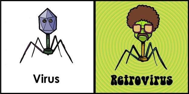 Ms_JBerry's tweet photo. Just a little AP humor... #apbio #BerrysBio #retrovirus #term2test #biology https://t.co/nkhoVFc4kG