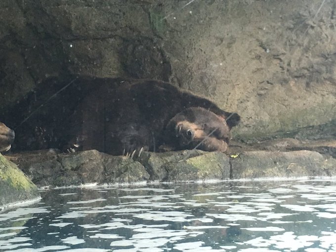 View image on Twitter