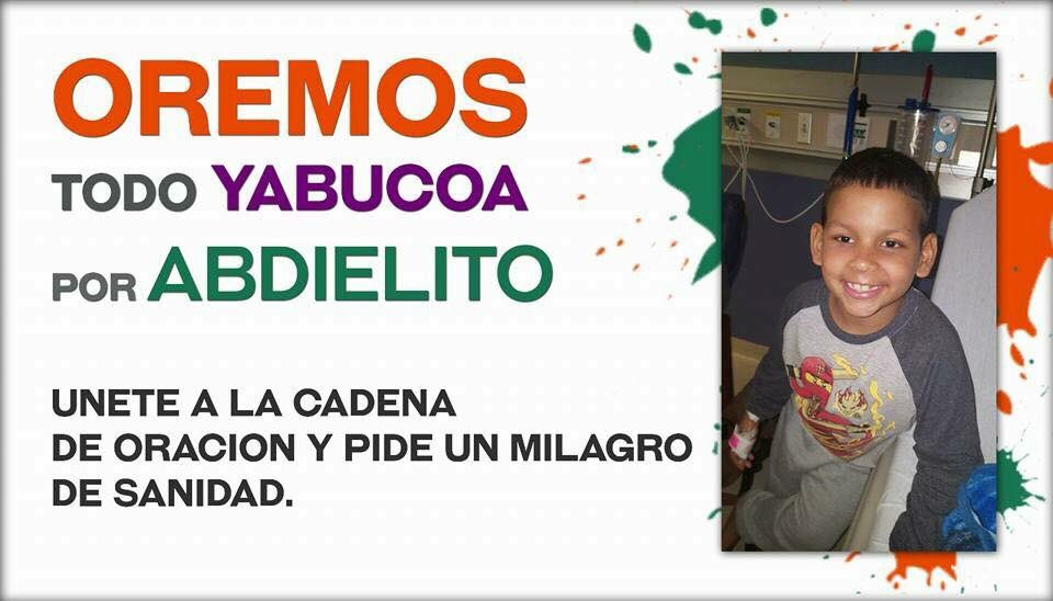 mara_85's tweet photo. 🚨URGENTE🚨
Solicitan donantes de plaquetas para Abdiel Gabriel Lora Pizarro, paciente de cáncer @Moluskein  @ANGELIQUEBURBU @elgangster https://t.co/7pV6nyImsB